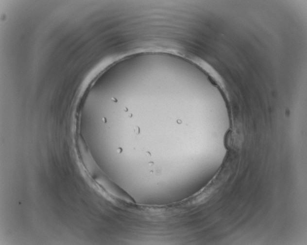 X0000083991096200703021933