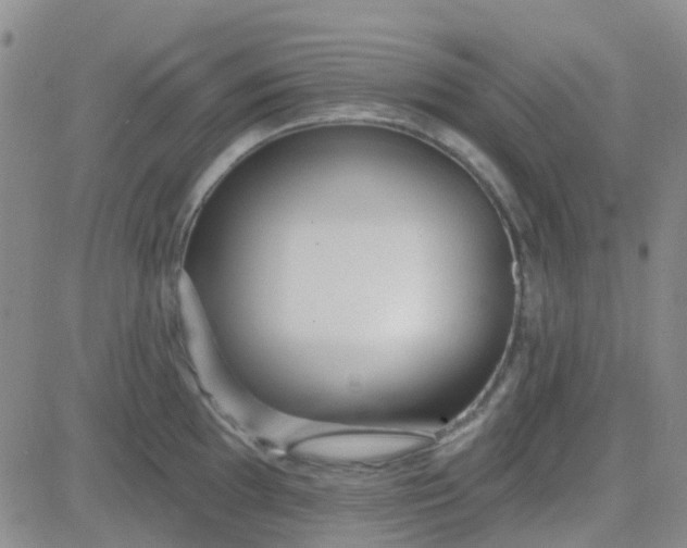 X0000083991097200703021933