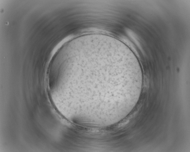 X0000083991098200703021933