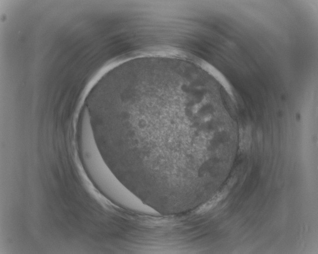 X0000083991099200703021933