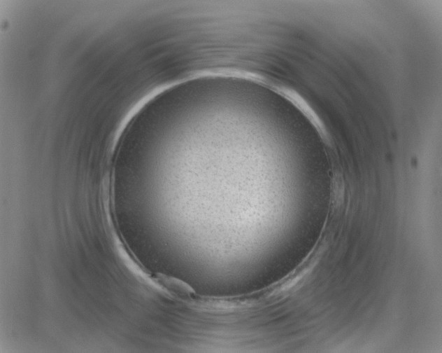 X0000083991100200703021933