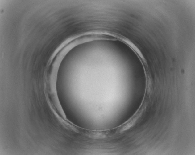 X0000083991101200703021933