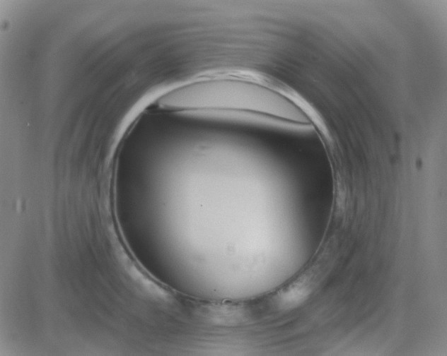 X0000083991102200703021933