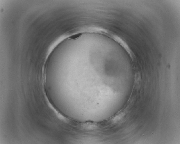 X0000083991103200703021933