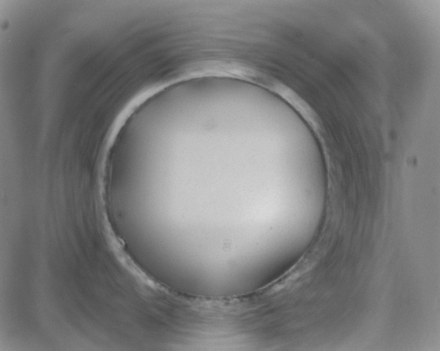 X0000083991104200703021933