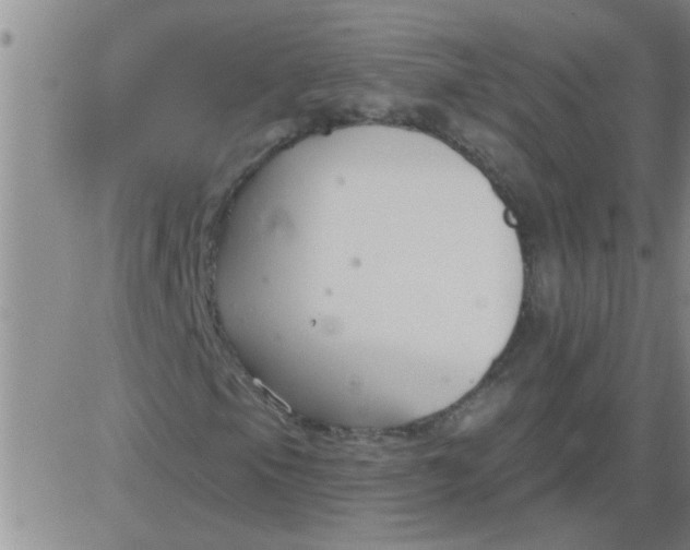 X0000083991105200703021932