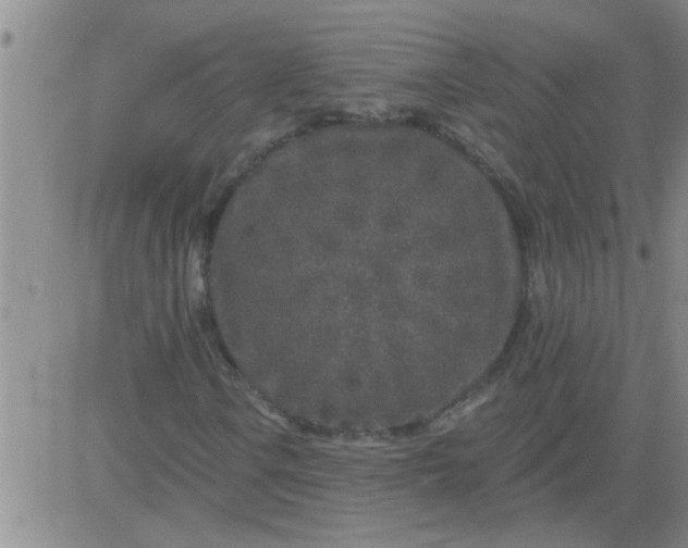 X0000083991106200703021932