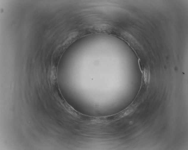 X0000083991107200703021932