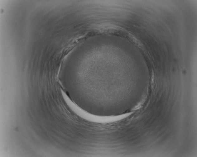 X0000083991108200703021932