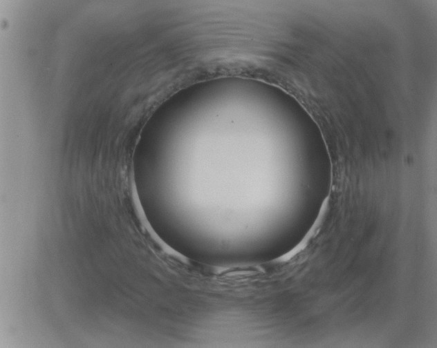 X0000083991109200703021932