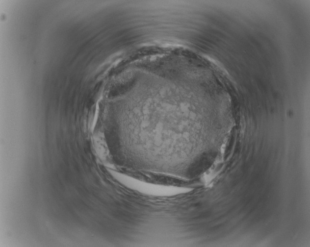 X0000083991110200703021932