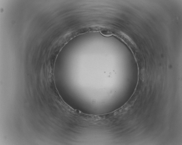 X0000083991111200703021932