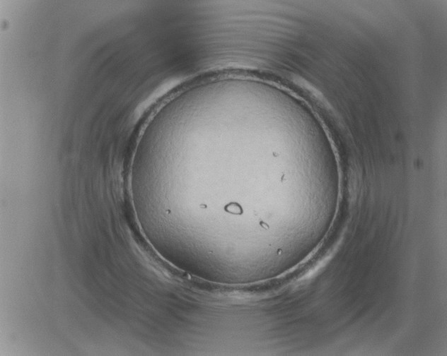 X0000083991113200703021932