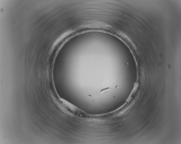 X0000083991114200703021932