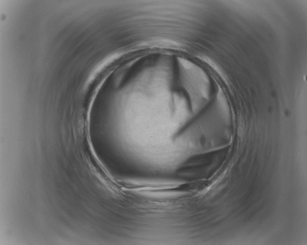 X0000083991115200703021932