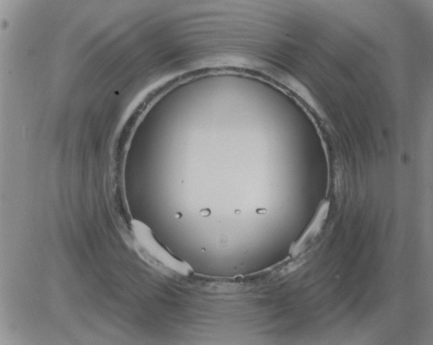 X0000083991116200703021932