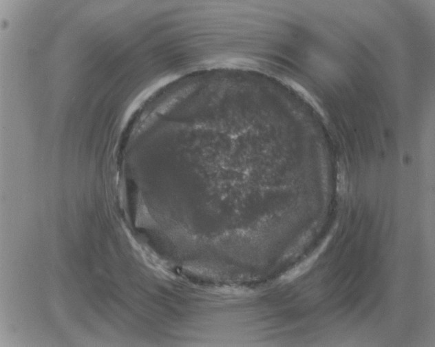 X0000083991117200703021932