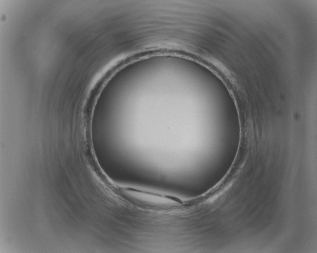 X0000083991118200703021932