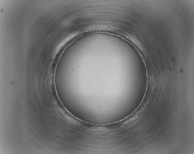 X0000083991119200703021932