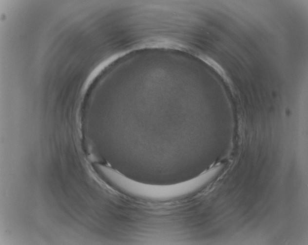 X0000083991120200703021932