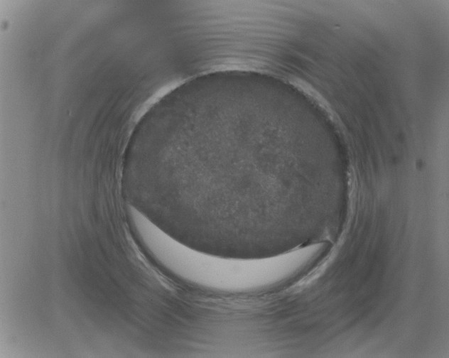 X0000083991121200703021932