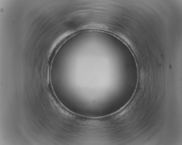 X0000083991123200703021932