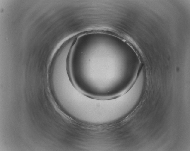 X0000083991124200703021932