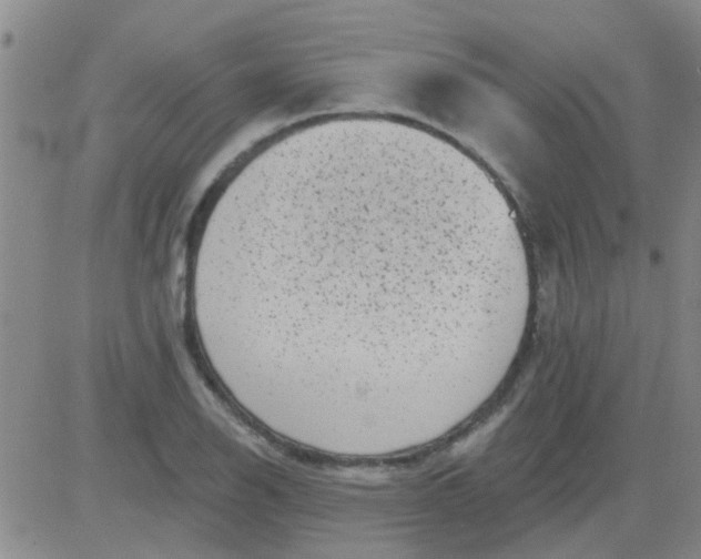 X0000083991126200703021932