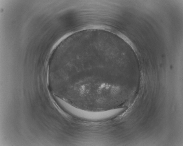 X0000083991127200703021932