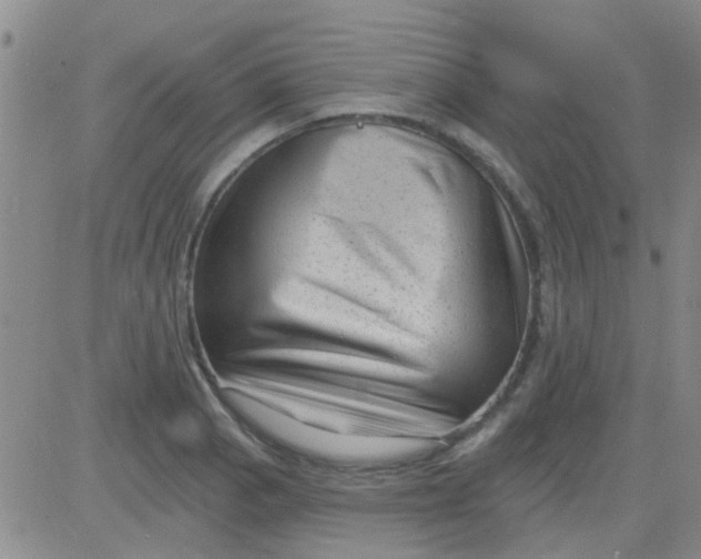 X0000083991129200703021932