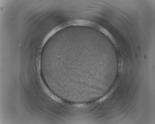 X0000083991130200703021932