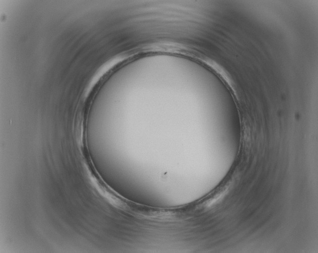 X0000083991131200703021932