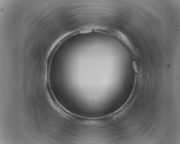 X0000083991132200703021932