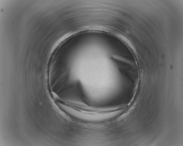 X0000083991133200703021932