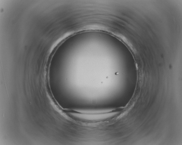 X0000083991134200703021932