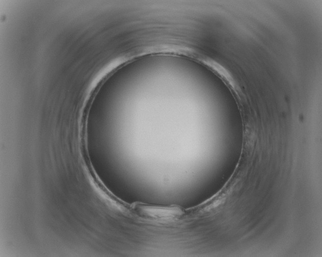 X0000083991135200703021932