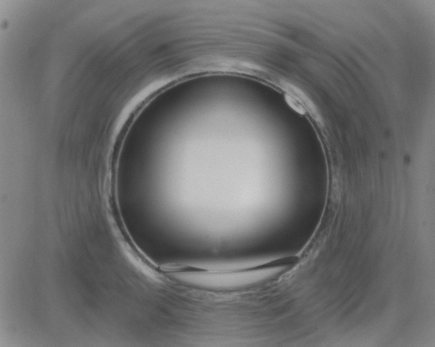 X0000083991136200703021932