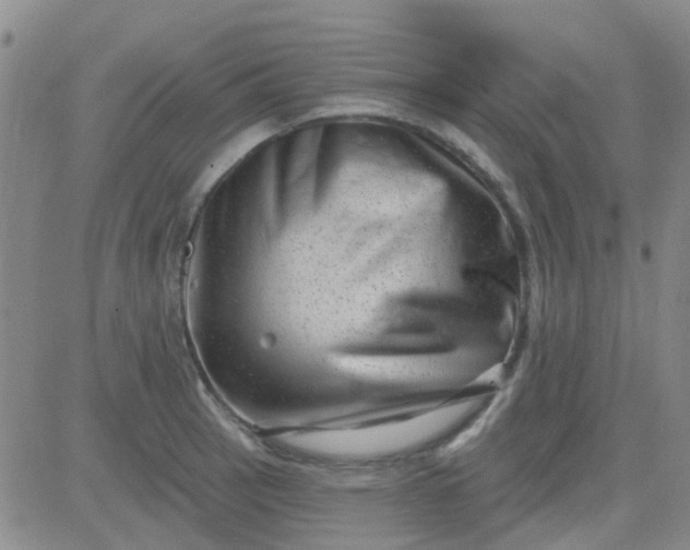 X0000083991137200703021932