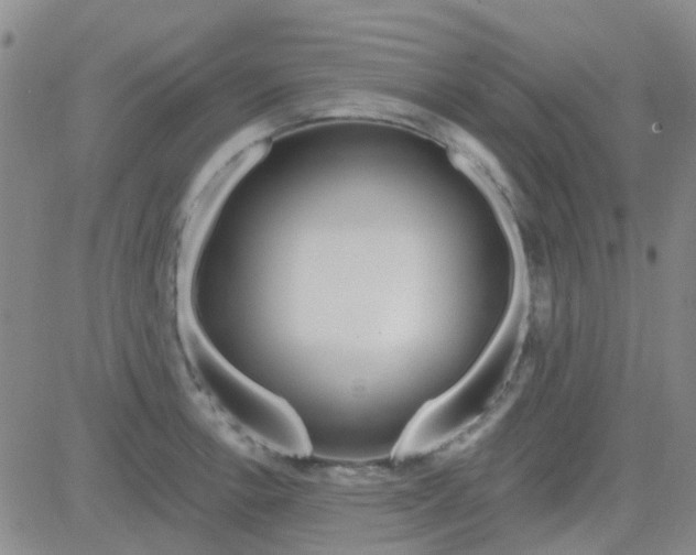 X0000083991138200703021932