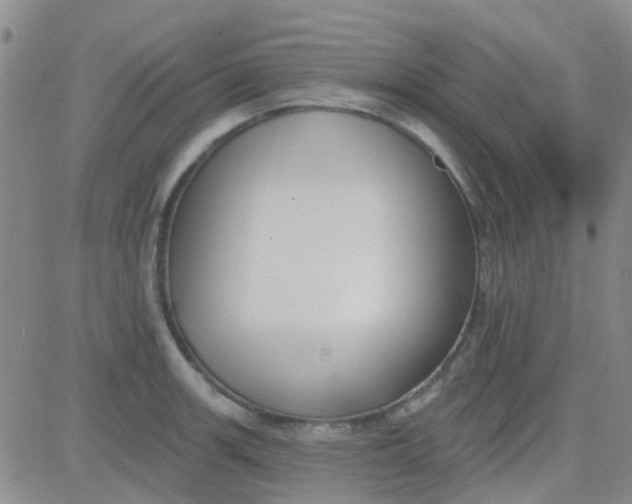 X0000083991139200703021932