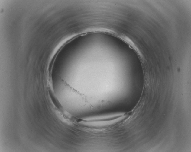 X0000083991140200703021932