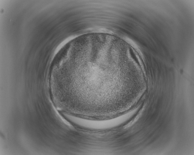 X0000083991141200703021932