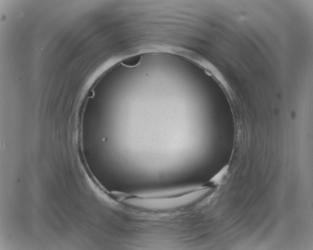 X0000083991143200703021933