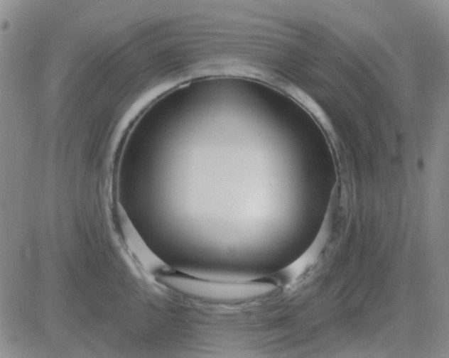 X0000083991144200703021933