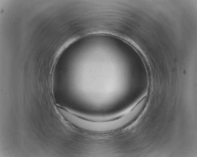 X0000083991145200703021933