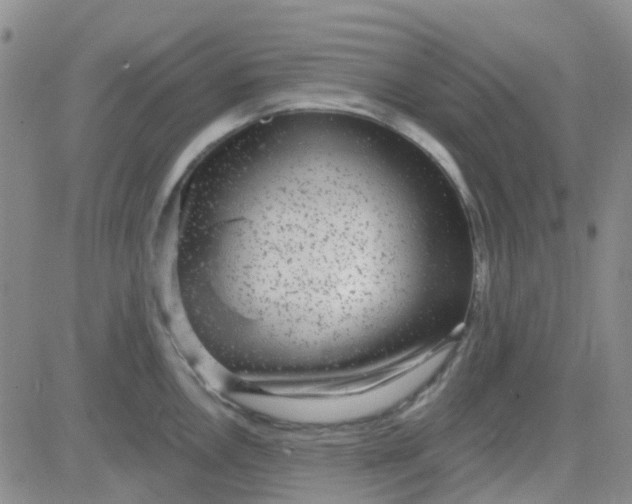 X0000083991146200703021933