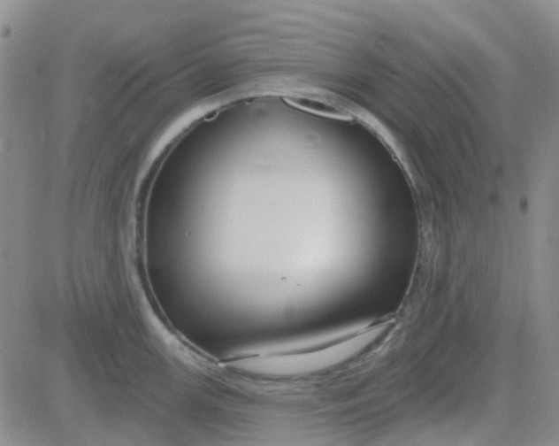 X0000083991147200703021933