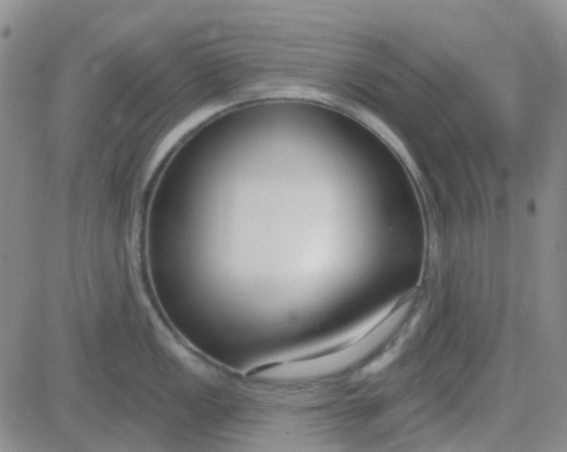 X0000083991149200703021933