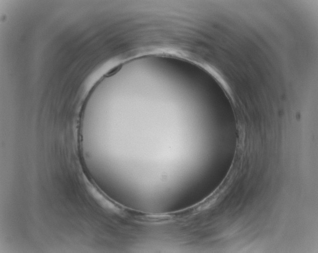 X0000083991151200703021933