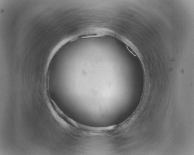 X0000083991152200703021933